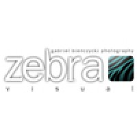 Zebra Visual logo, Zebra Visual contact details