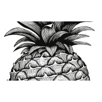 Pineapple logo, Pineapple contact details