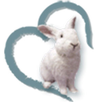 Bunny Bunch Rabbit Rescue logo, Bunny Bunch Rabbit Rescue contact details