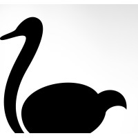 Ostrich Advisors, LLC logo, Ostrich Advisors, LLC contact details