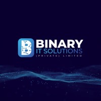 Binary IT Solutions Pvt Ltd logo, Binary IT Solutions Pvt Ltd contact details