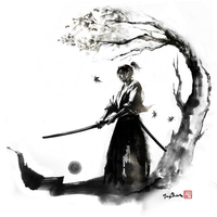 Samurai Coaching Dojo logo, Samurai Coaching Dojo contact details