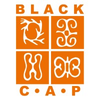 Black Coalition for AIDS Prevention logo, Black Coalition for AIDS Prevention contact details