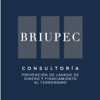 Briupec Consultoría logo, Briupec Consultoría contact details