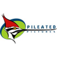 Pileated Pictures logo, Pileated Pictures contact details