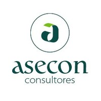 Asecon Consultores logo, Asecon Consultores contact details