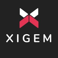 Xigem Technologies logo, Xigem Technologies contact details