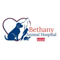 Bethany Animal Hospital logo, Bethany Animal Hospital contact details