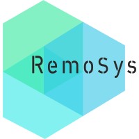 RemoSys logo, RemoSys contact details