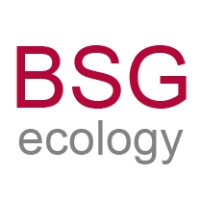 BSG Ecology logo, BSG Ecology contact details