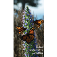 Papillon Transformative Consulting logo, Papillon Transformative Consulting contact details