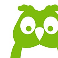 Owlwise logo, Owlwise contact details