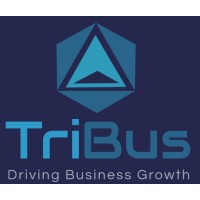 Tribus Consulting logo, Tribus Consulting contact details