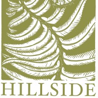 Hillside Student Community School logo, Hillside Student Community School contact details