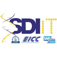 SDI IT Services Development International logo, SDI IT Services Development International contact details