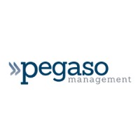 Pegaso Management logo, Pegaso Management contact details