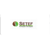 Setef Fundações e Sondagens logo, Setef Fundações e Sondagens contact details