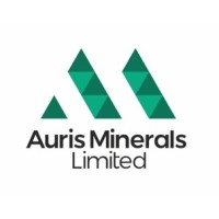 Auris Minerals Limited logo, Auris Minerals Limited contact details