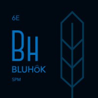 Bluhok logo, Bluhok contact details