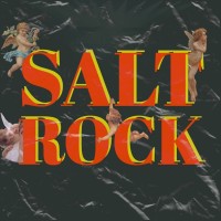 Salt Rock logo, Salt Rock contact details