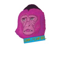 Pink Monkey Magazine logo, Pink Monkey Magazine contact details