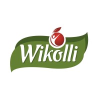 Wikolli Alimentos logo, Wikolli Alimentos contact details