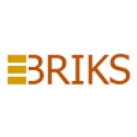 EBriks Infotech Pvt. Ltd. logo, EBriks Infotech Pvt. Ltd. contact details