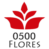 0500 Flores logo, 0500 Flores contact details