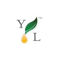 Young Living Brasil logo, Young Living Brasil contact details