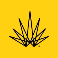 House of Weed logo, House of Weed contact details