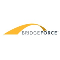 Bridgeforce LLC logo, Bridgeforce LLC contact details