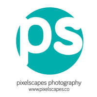 Pixelscapes India Pvt. Ltd. logo, Pixelscapes India Pvt. Ltd. contact details