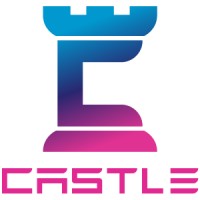 Castle Technology Solutions logo, Castle Technology Solutions contact details