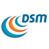 DSM Consulting logo, DSM Consulting contact details