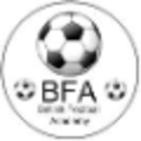 British Football Academy logo, British Football Academy contact details