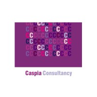 Caspia Consultancy Ltd logo, Caspia Consultancy Ltd contact details