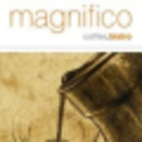 Caffe Magnifico logo, Caffe Magnifico contact details