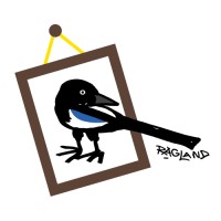 Magpie Arts Collection logo, Magpie Arts Collection contact details