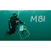 Marine Bio-images logo, Marine Bio-images contact details