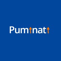 Puminati Digital logo, Puminati Digital contact details