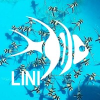 LINI Foundation logo, LINI Foundation contact details