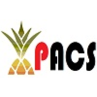 Pine Apple Consultancy Services logo, Pine Apple Consultancy Services contact details