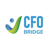 CFO BRIDGE LLC logo, CFO BRIDGE LLC contact details