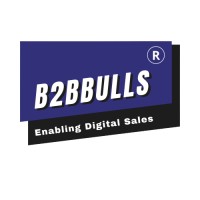 B2BBulls logo, B2BBulls contact details