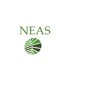 (NEAS) Northern Electronic Services Inc logo, (NEAS) Northern Electronic Services Inc contact details