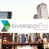 DiversegyPro logo, DiversegyPro contact details