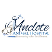 Anclote Animal Hospital logo, Anclote Animal Hospital contact details