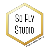 So Fly Studio logo, So Fly Studio contact details