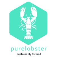 Pure Lobster AS logo, Pure Lobster AS contact details