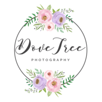 Dove Tree Photography logo, Dove Tree Photography contact details